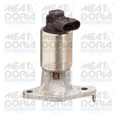 EGR Valve